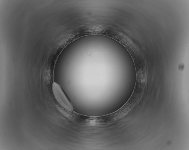 X0000097480564200802221354