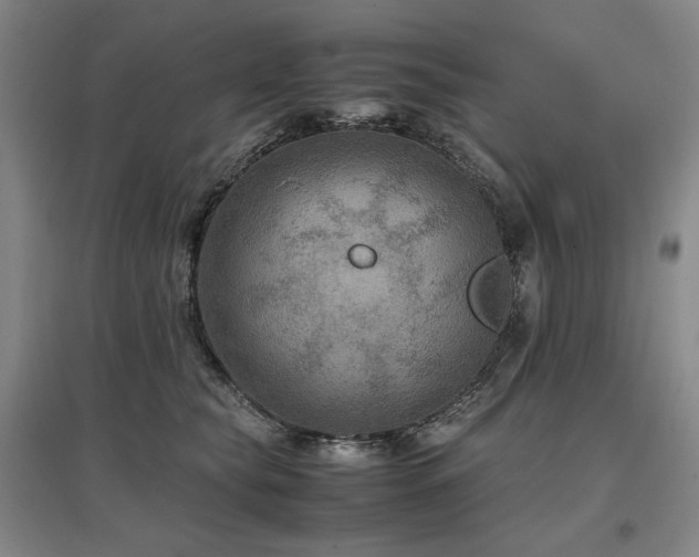X0000097480565200802221354