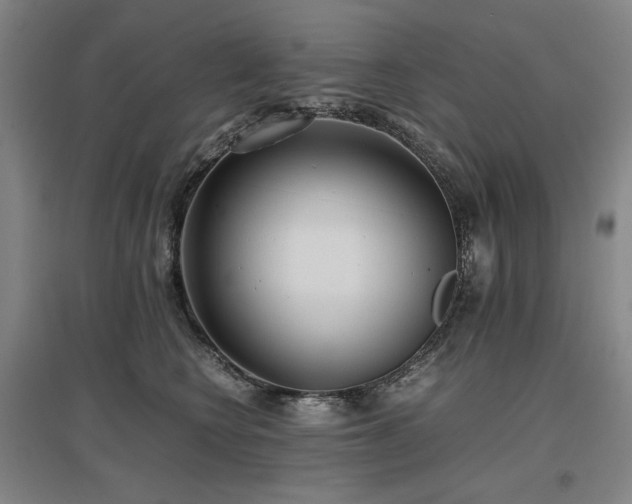 X0000097480566200802221354