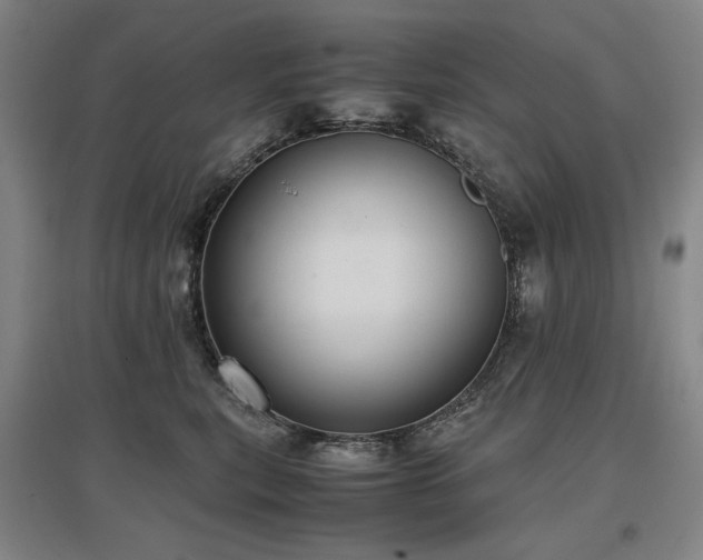 X0000097480567200802221354