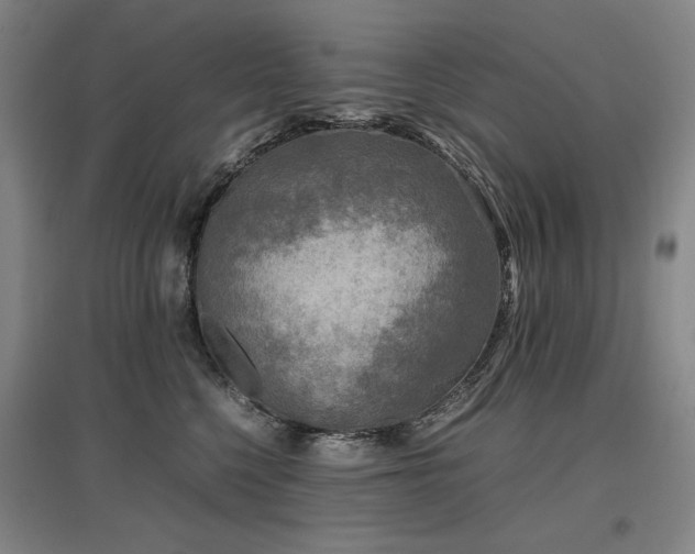 X0000097480568200802221355