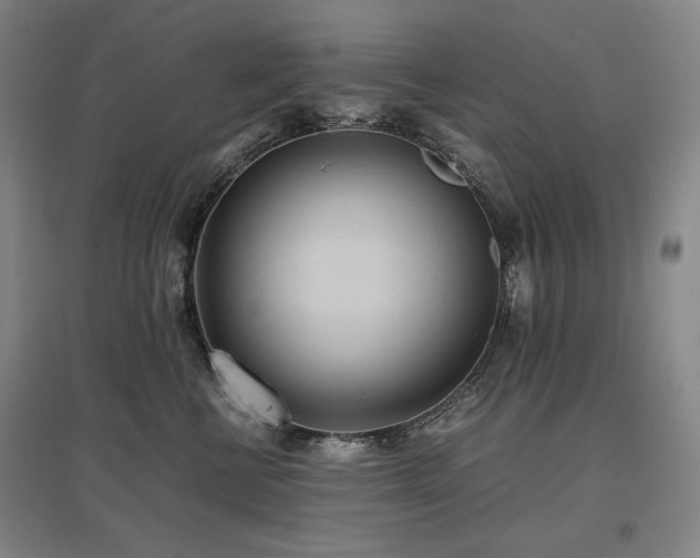 X0000097480570200802221355