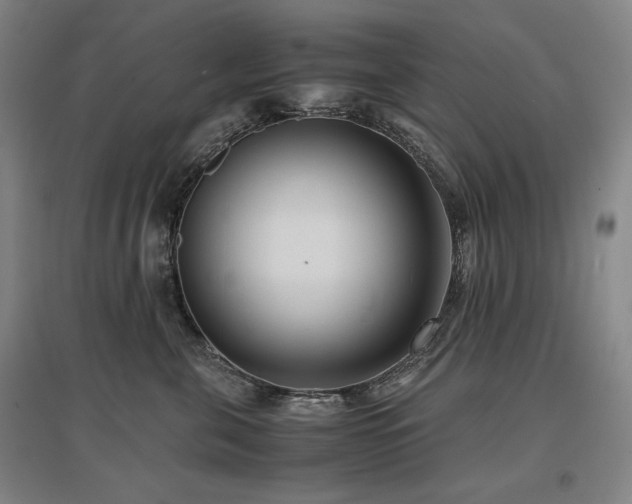 X0000097480571200802221355