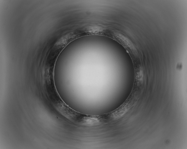 X0000097480572200802221355