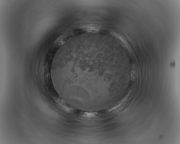 X0000097480573200802221355