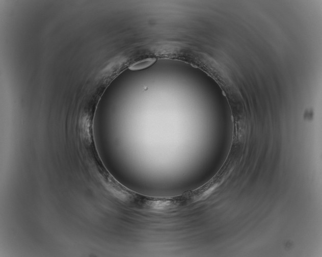X0000097480575200802221355