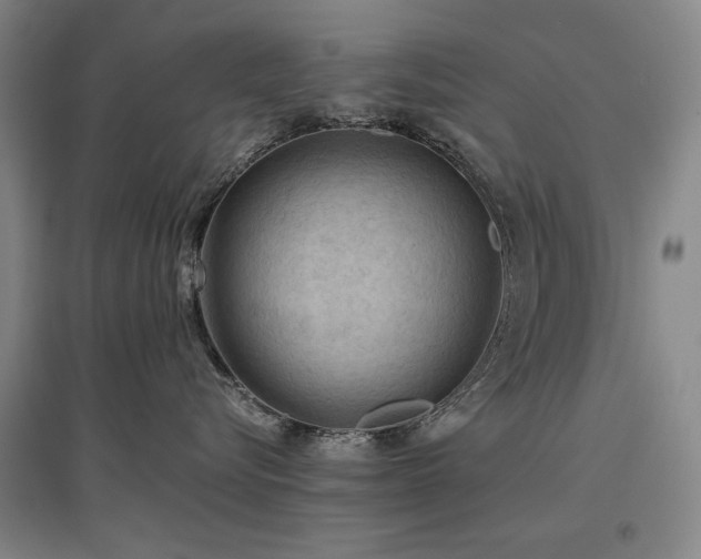 X0000097480576200802221355