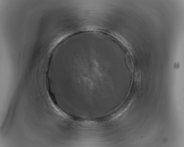 X0000097480577200802221354