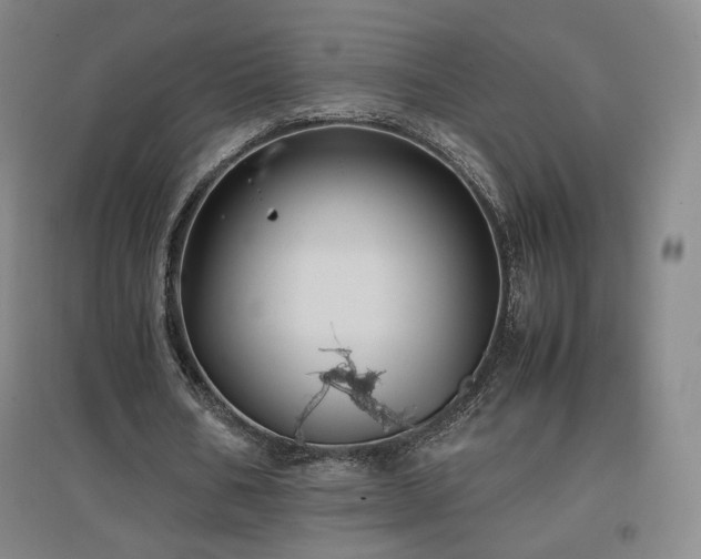 X0000097480578200802221354