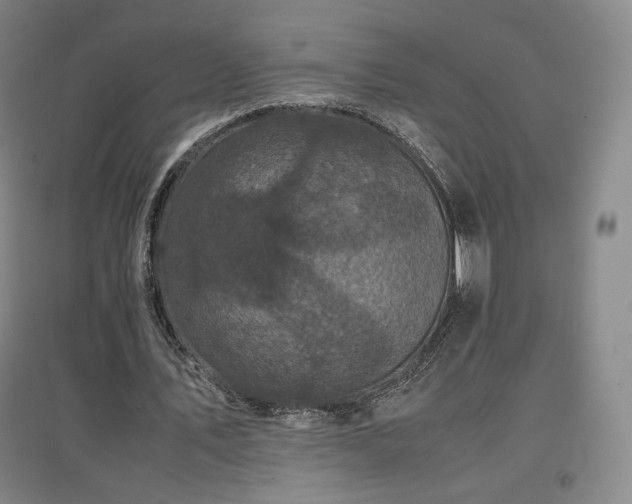 X0000097480579200802221354