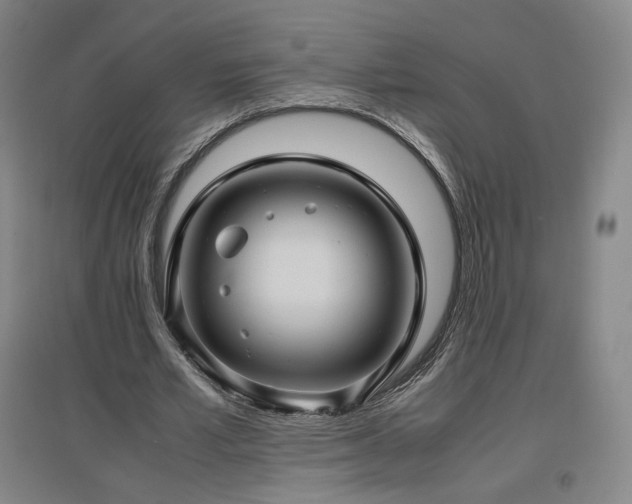 X0000097480581200802221354