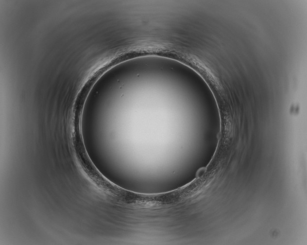X0000097480582200802221354