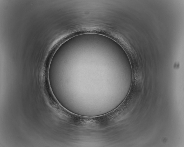 X0000097480583200802221354