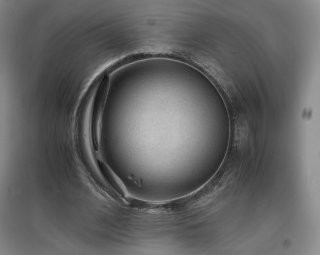 X0000097480584200802221354