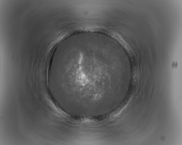 X0000097480585200802221354