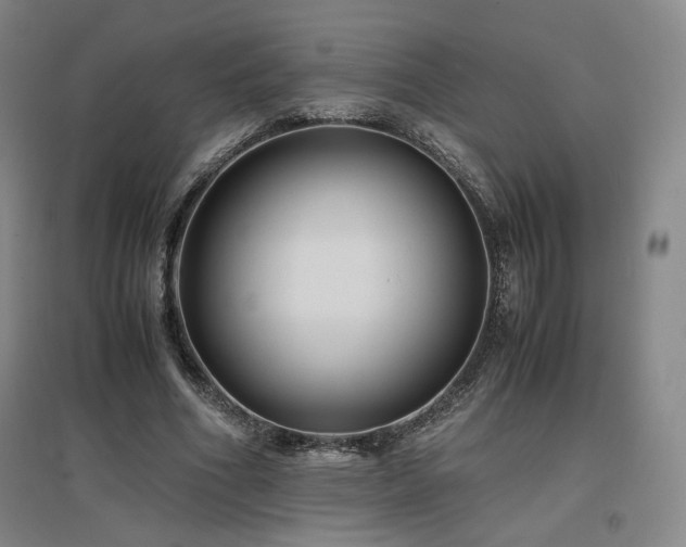 X0000097480586200802221354