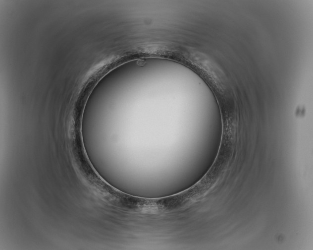 X0000097480587200802221354