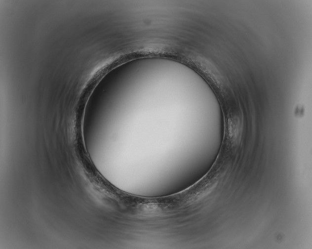 X0000097480588200802221354