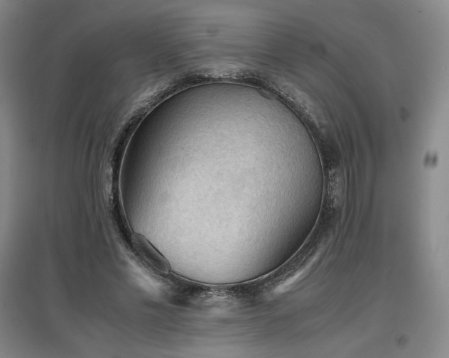 X0000097480589200802221354