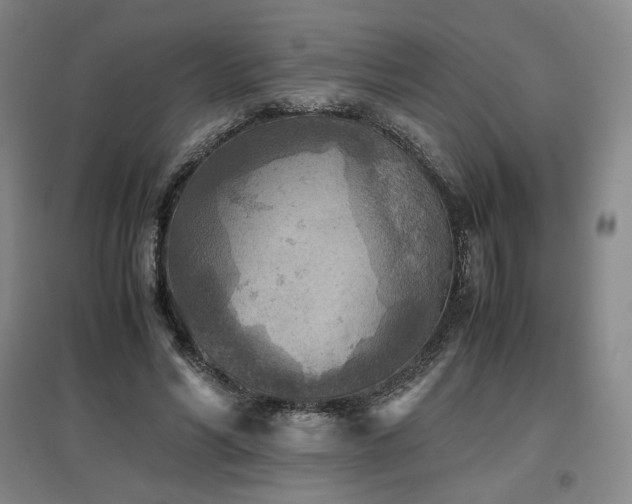 X0000097480590200802221354