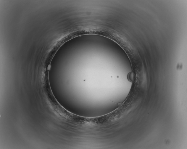 X0000097480592200802221354