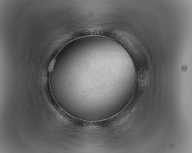 X0000097480593200802221354