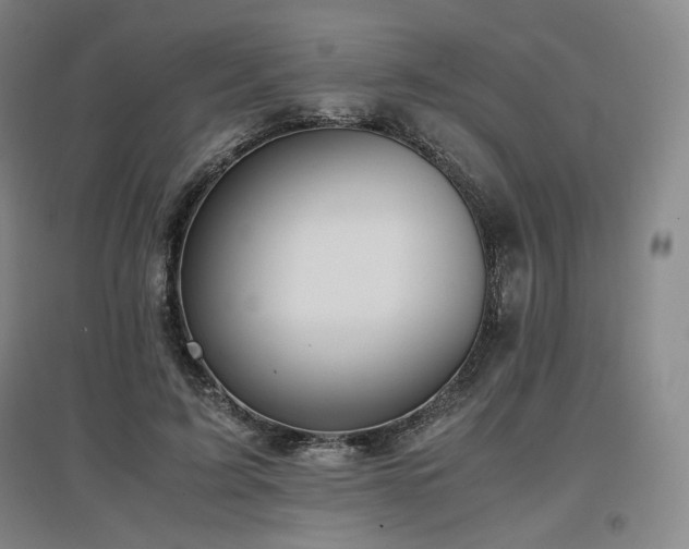 X0000097480595200802221354