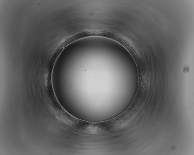 X0000097480596200802221354
