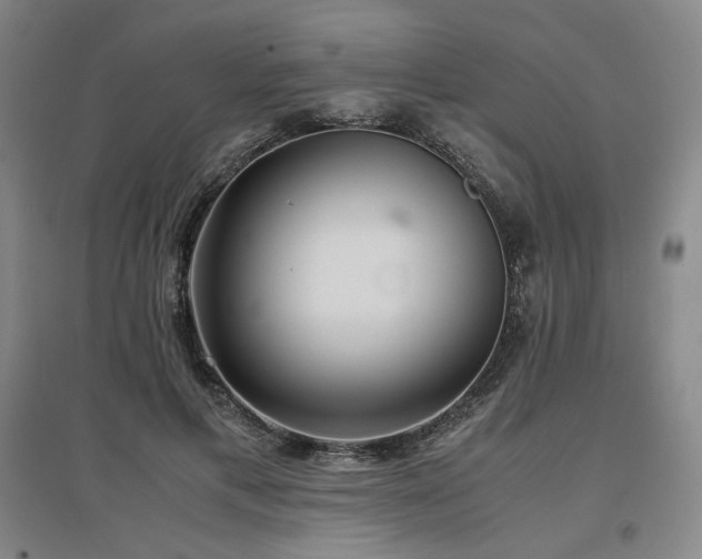 X0000097480597200802221354
