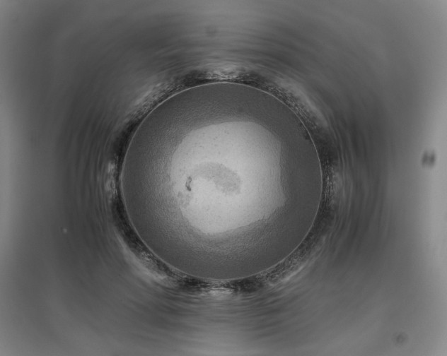 X0000097480598200802221354