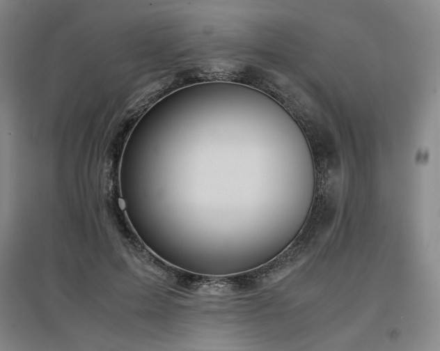 X0000097480599200802221354