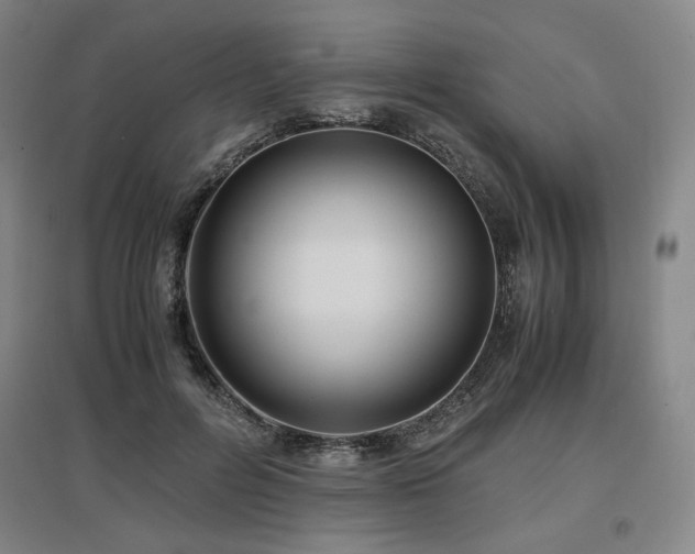 X0000097480600200802221354