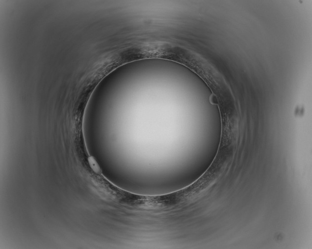 X0000097480601200802221354