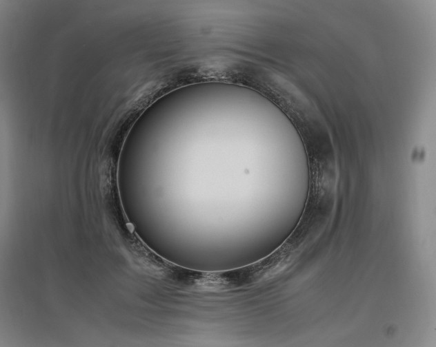 X0000097480603200802221354