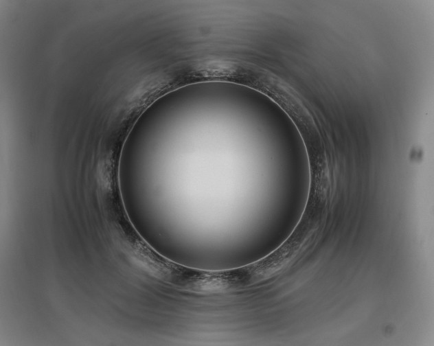 X0000097480604200802221354