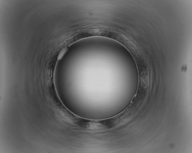 X0000097480605200802221354