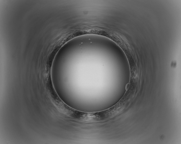 X0000097480607200802221354