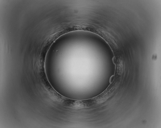 X0000097480608200802221354