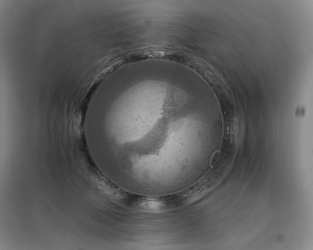 X0000097480610200802221354