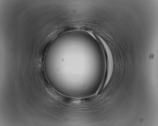 X0000097480611200802221353