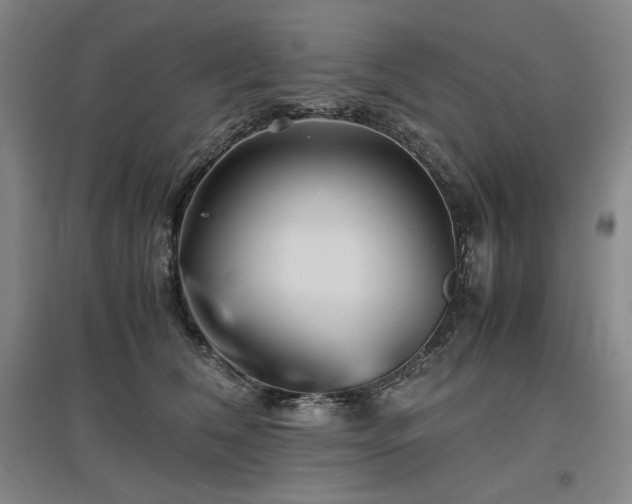 X0000097480612200802221353