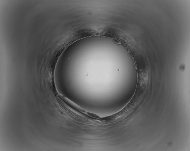 X0000097480613200802221353