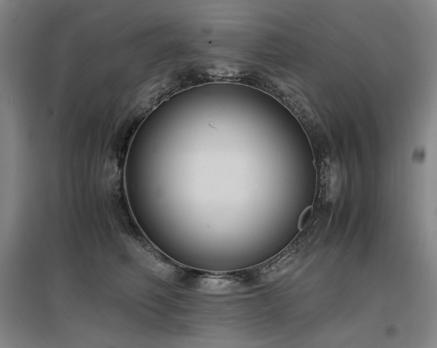 X0000097480614200802221353