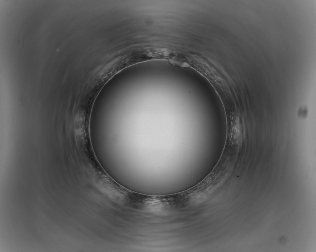 X0000097480616200802221353