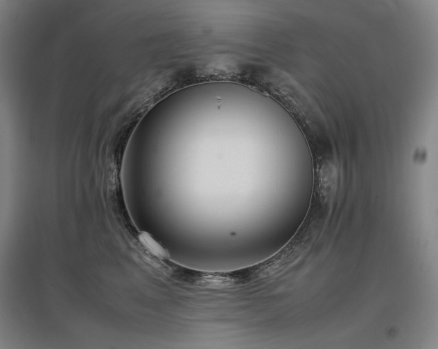 X0000097480617200802221353