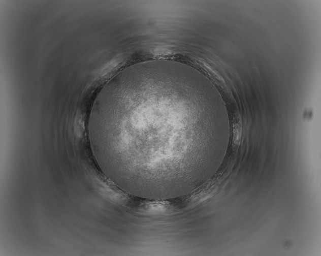 X0000097480618200802221353