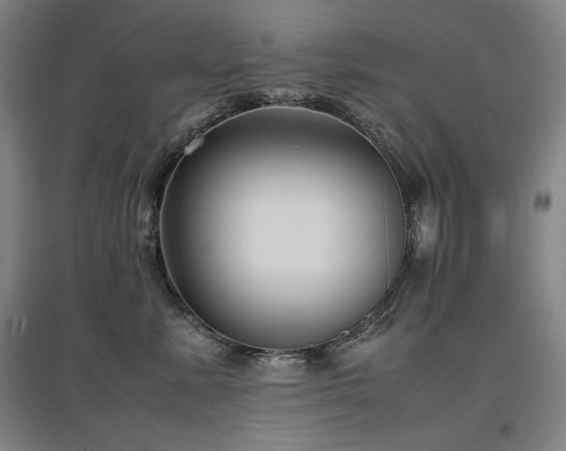 X0000097480619200802221353