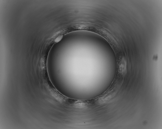 X0000097480620200802221353