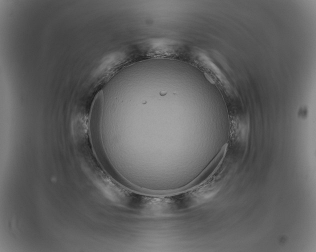 X0000097480621200802221353