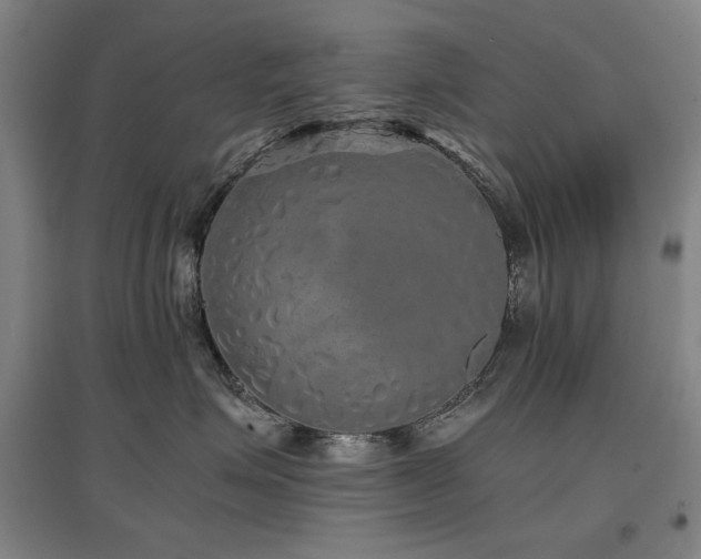 X0000097480623200802221353